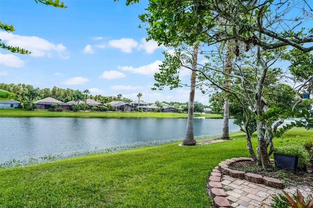 16515 Nikki Ln, Odessa, FL 33556 - photo 34