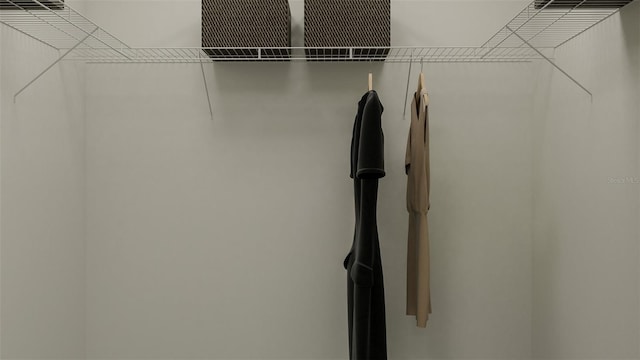 10233 Trumpet Honeysuckle Way, San Antonio, FL 33576 - view of walk in closet