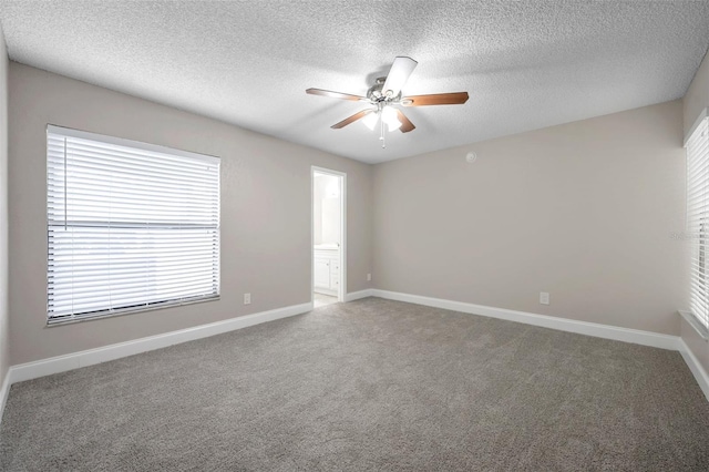 5306 Marlwood Ct, Tampa, FL 33624 - photo 10
