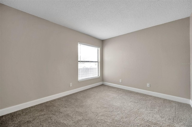 5306 Marlwood Ct, Tampa, FL 33624 - photo 31