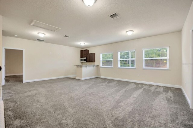1229 Hillandale Reserve Dr, Tampa, FL 33613 - unfurnished living room with light colored carpet, attic access, and a textured ceiling