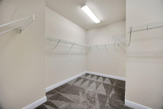 1229 Hillandale Reserve Dr, Tampa, FL 33613 - spacious closet featuring carpet flooring