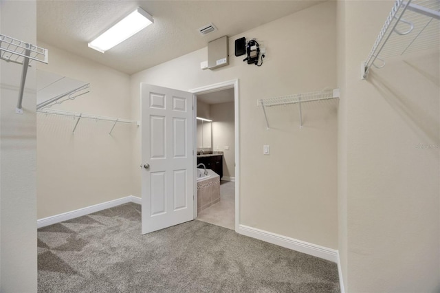 1229 Hillandale Reserve Dr, Tampa, FL 33613 - walk in closet with carpet