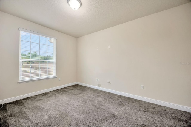 1229 Hillandale Reserve Dr, Tampa, FL 33613 - carpeted empty room with baseboards and a textured ceiling