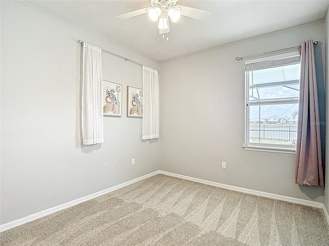 1022 Montgomery Bell Rd, Wesley Chapel, FL 33543 - spare room with ceiling fan, carpet, and baseboards