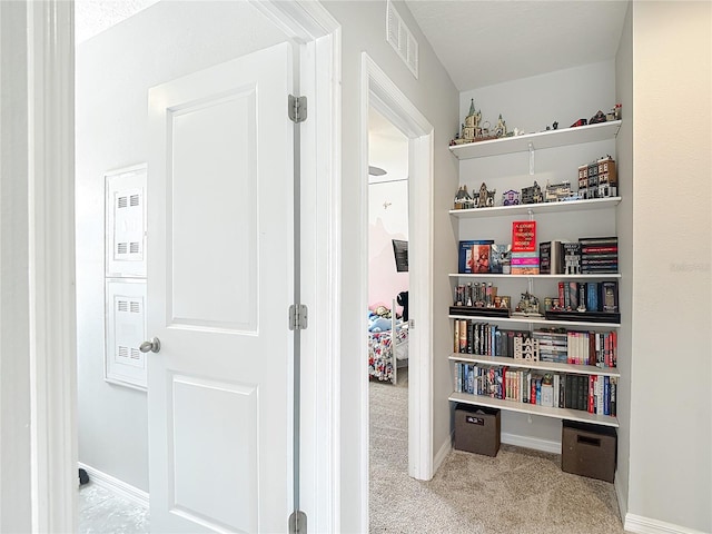 1022 Montgomery Bell Rd, Wesley Chapel, FL 33543 - hall featuring carpet floors and baseboards