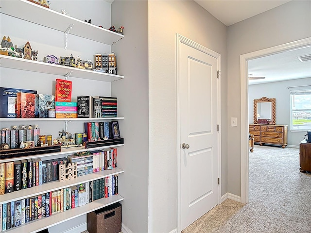 1022 Montgomery Bell Rd, Wesley Chapel, FL 33543 - hall with carpet and baseboards