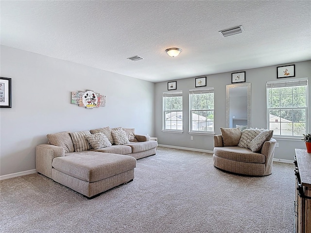1022 Montgomery Bell Rd, Wesley Chapel, FL 33543 - living room with carpet floors, baseboards, and a textured ceiling