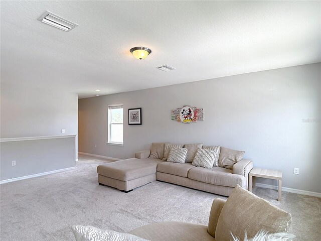 1022 Montgomery Bell Rd, Wesley Chapel, FL 33543 - living room featuring carpet flooring, baseboards, and a textured ceiling