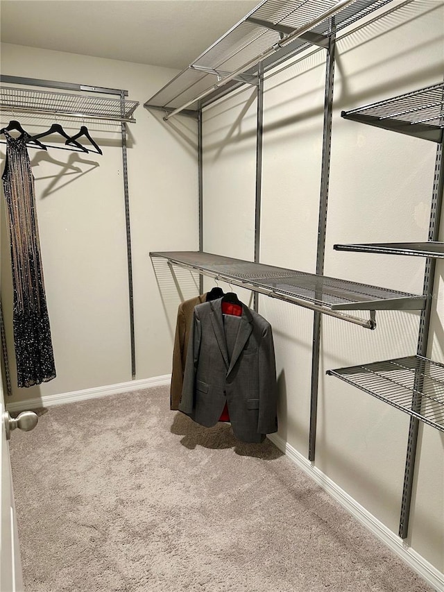 2717 Chestnut Creek Pl, Brandon, FL 33510 - spacious closet featuring carpet