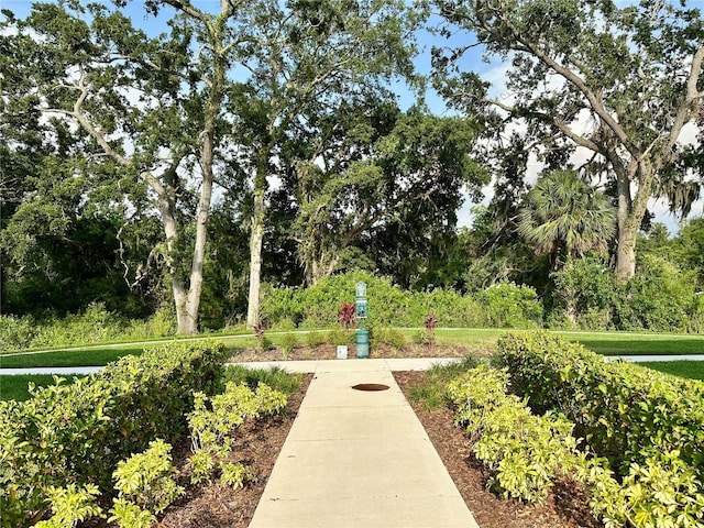 2717 Chestnut Creek Pl, Brandon, FL 33510 - view of surrounding community