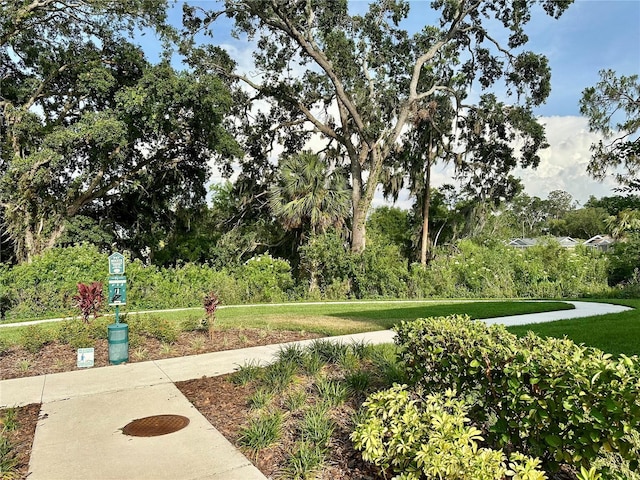 2717 Chestnut Creek Pl, Brandon, FL 33510 - view of home's community with a yard