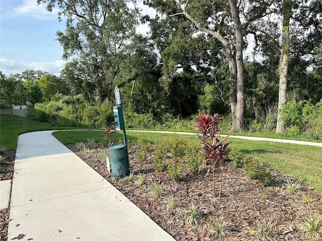 2717 Chestnut Creek Pl, Brandon, FL 33510 - surrounding community with a lawn