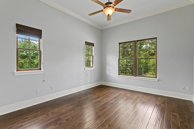 7713 Still Lakes Dr, Odessa, FL 33556 - spare room featuring plenty of natural light, ornamental molding, baseboards, dark wood-style floors, and ceiling fan