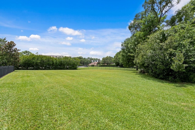 7713 Still Lakes Dr, Odessa, FL 33556 - view of yard
