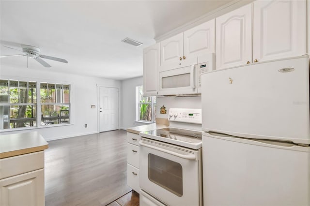 506 S Melville Ave, Tampa, FL 33606 - photo 50