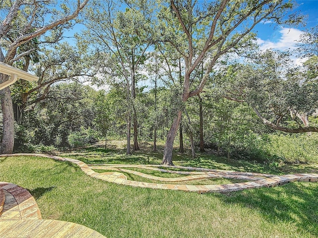 66 Bay Woods Dr, Safety Harbor, FL 34695 - view of grassy yard