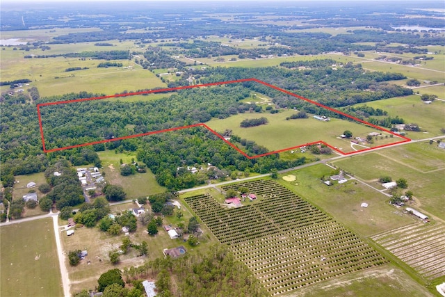 14435 Curley Rd, Dade City, FL 33525 - photo 1