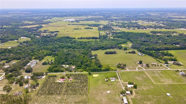 14435 Curley Rd, Dade City, FL 33525 - photo 2