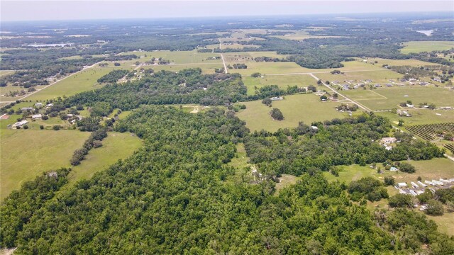 14435 Curley Rd, Dade City, FL 33525 - photo 5