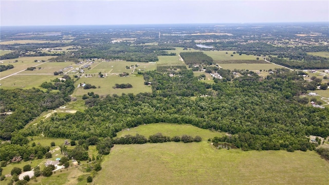 14435 Curley Rd, Dade City, FL 33525 - photo 7