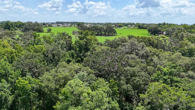 14435 Curley Rd, Dade City, FL 33525 - photo 10