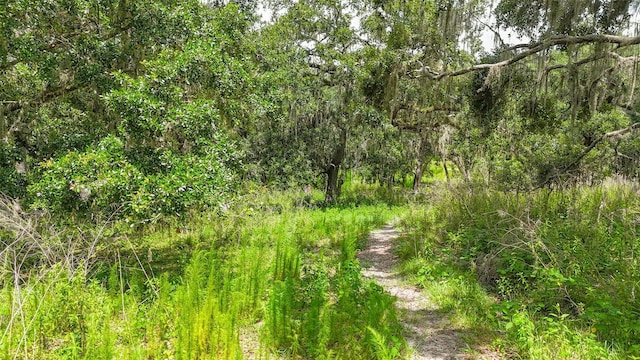 14435 Curley Rd, Dade City, FL 33525 - photo 11