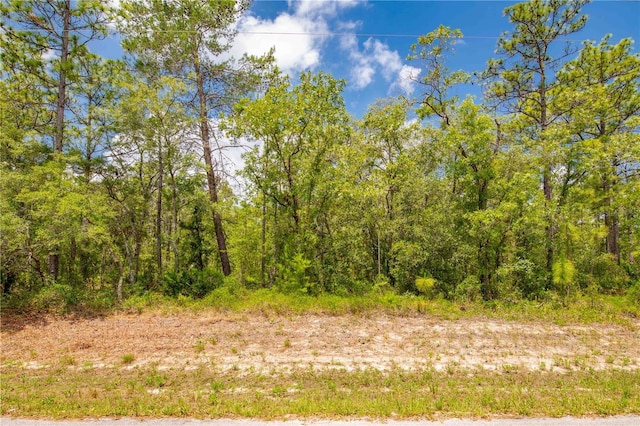 16295 Mount Sparrow Rd, Weeki Wachee, FL 34614