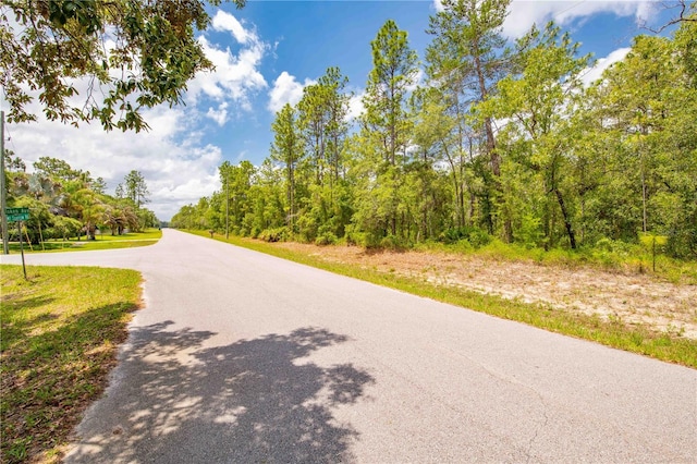 16295 Mount Sparrow Rd, Weeki Wachee, FL 34614