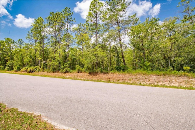 16295 Mount Sparrow Rd, Weeki Wachee, FL 34614