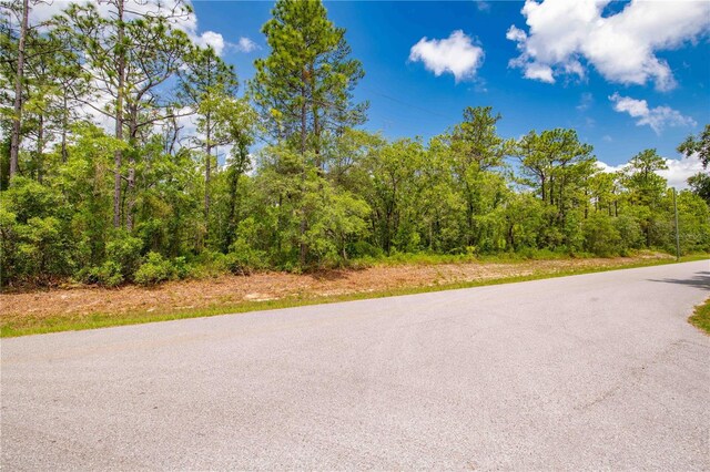 16295 Mount Sparrow Rd, Weeki Wachee, FL 34614