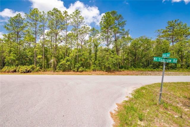 16295 Mount Sparrow Rd, Weeki Wachee, FL 34614