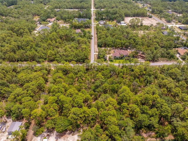 16295 Mount Sparrow Rd, Weeki Wachee, FL 34614