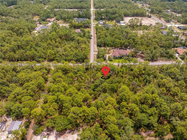 16295 Mount Sparrow Rd, Weeki Wachee, FL 34614
