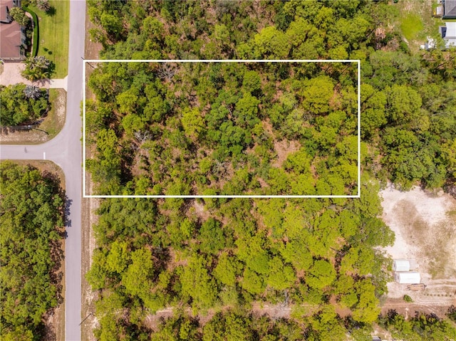 16295 Mount Sparrow Rd, Weeki Wachee, FL 34614