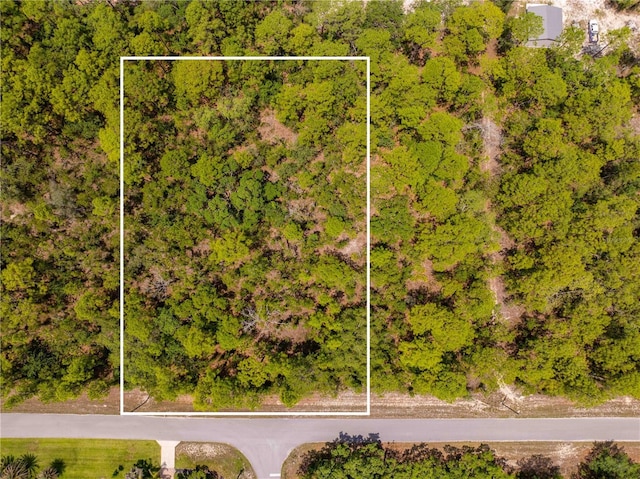 16295 Mount Sparrow Rd, Weeki Wachee, FL 34614