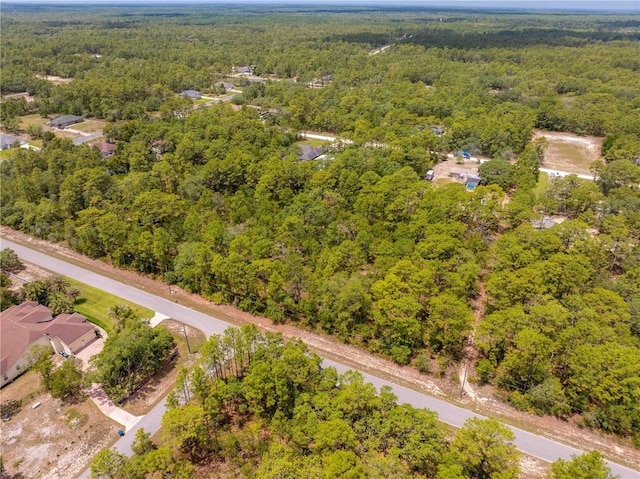 16295 Mount Sparrow Rd, Weeki Wachee, FL 34614