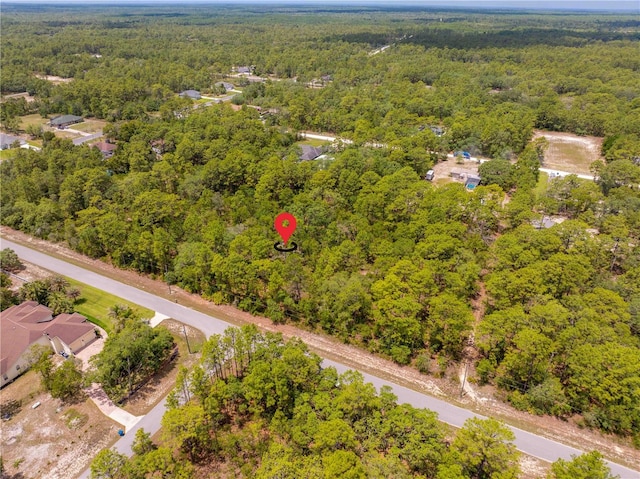16295 Mount Sparrow Rd, Weeki Wachee, FL 34614