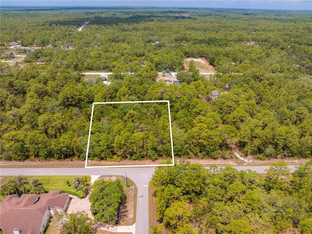16295 Mount Sparrow Rd, Weeki Wachee, FL 34614