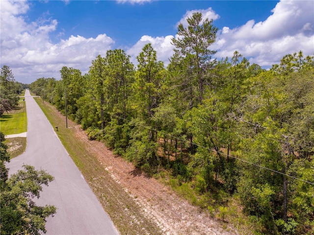 16295 Mount Sparrow Rd, Weeki Wachee, FL 34614