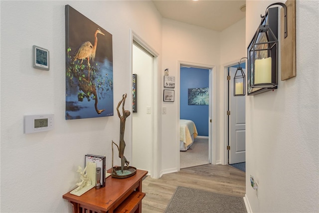 2747 Wood Pointe Dr, Holiday, FL 34691 - photo 21
