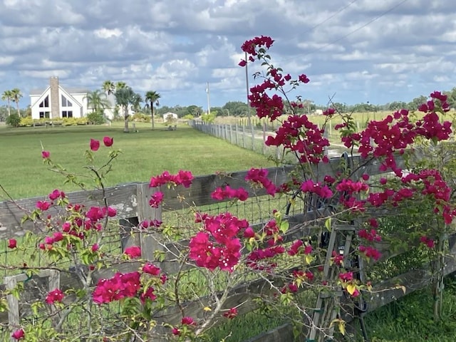 14510 Mj Rd, Myakka City, FL 34251 - view of yard