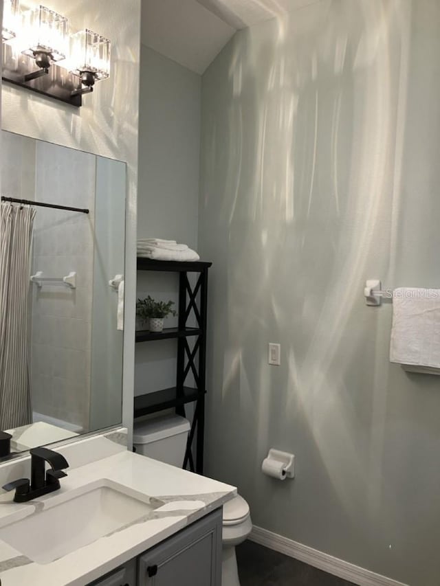 14510 Mj Rd, Myakka City, FL 34251 - bathroom with toilet, vanity, and curtained shower