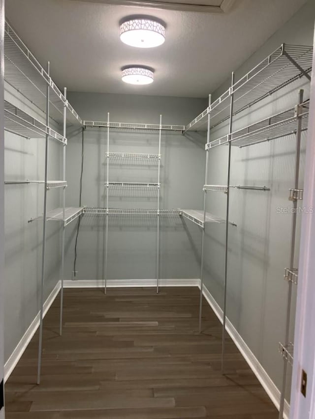 14510 Mj Rd, Myakka City, FL 34251 - walk in closet featuring wood finished floors