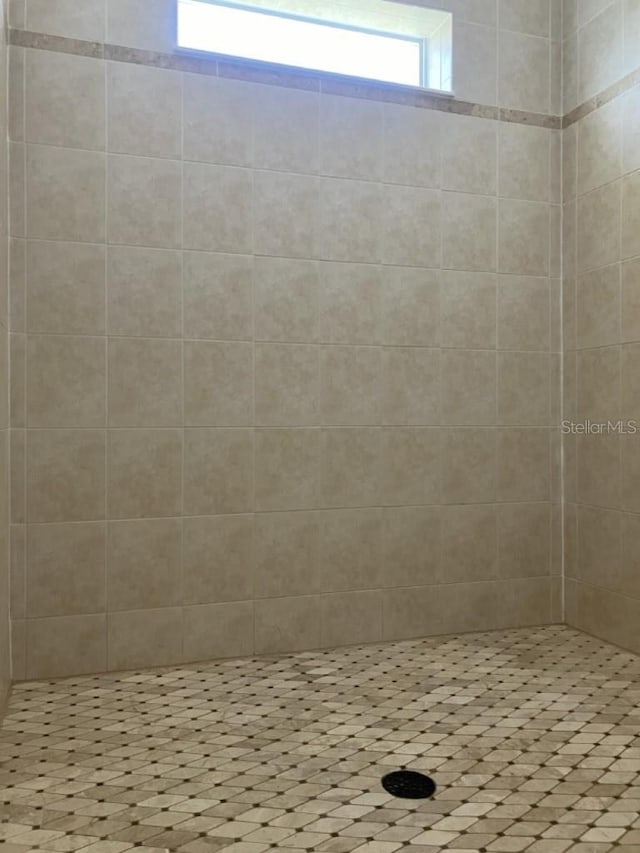 14510 Mj Rd, Myakka City, FL 34251 - full bath featuring tiled shower