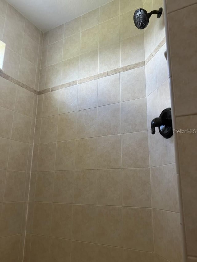 14510 Mj Rd, Myakka City, FL 34251 - bathroom view of tiled shower