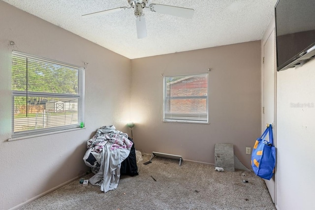 1224 S Delaware Ave, Deland, FL 32720 - misc room featuring carpet flooring, ceiling fan, and a textured ceiling