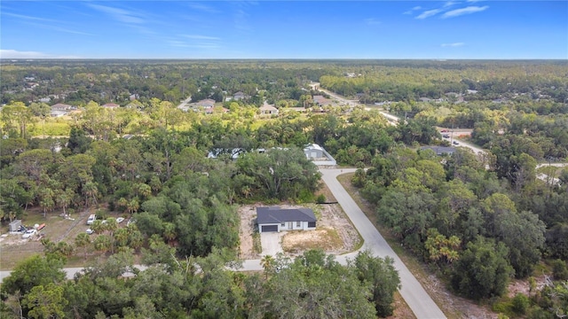 16134 Libourn Ave, Port Charlotte, FL 33954 - view of property location featuring a heavily wooded area