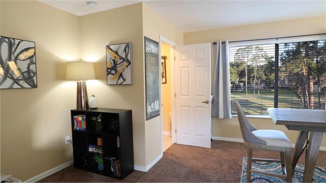 12808 Killarney Ct, Odessa, FL 33556 - photo 33