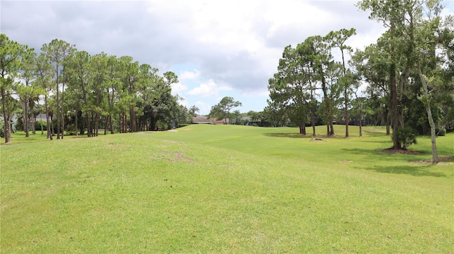 12808 Killarney Ct, Odessa, FL 33556 - photo 42